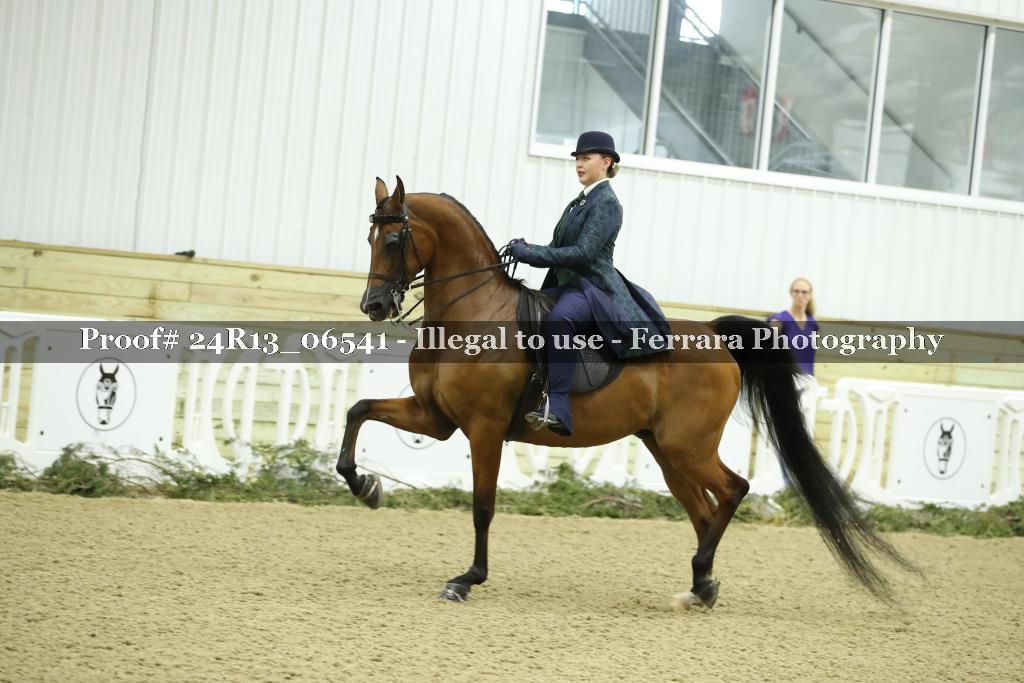 Proof 24R13_06541