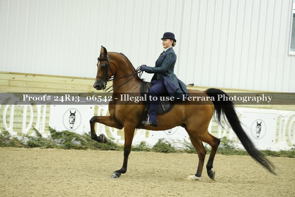 Proof 24R13_06542