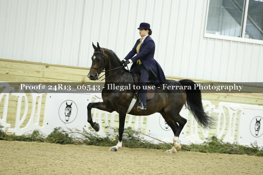 Proof 24R13_06543