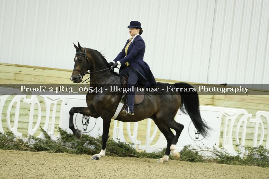 Proof 24R13_06544