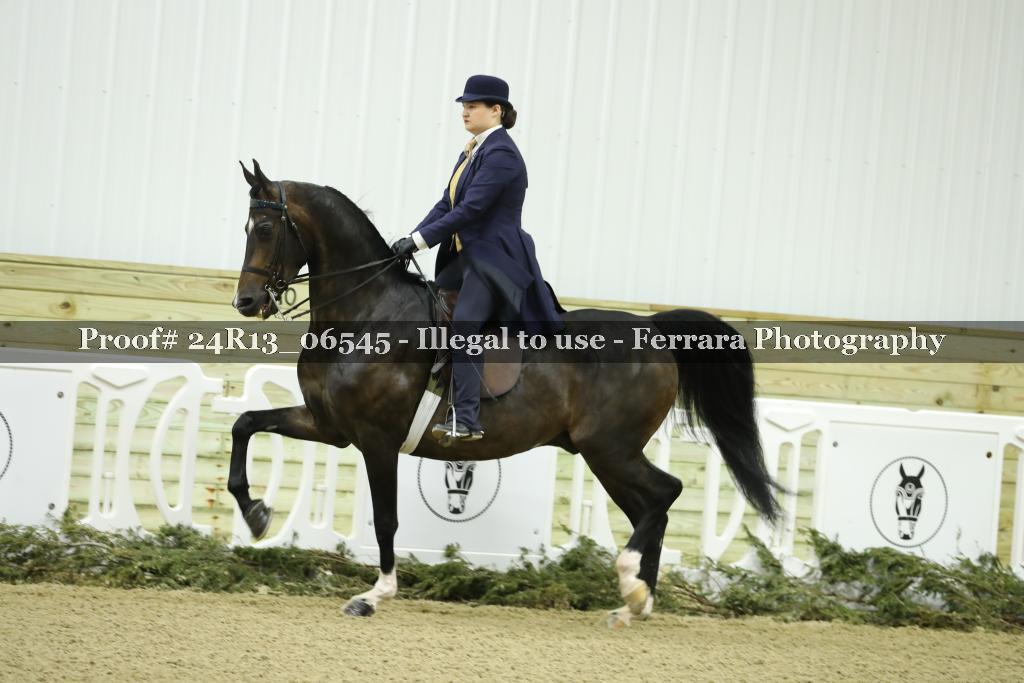 Proof 24R13_06545