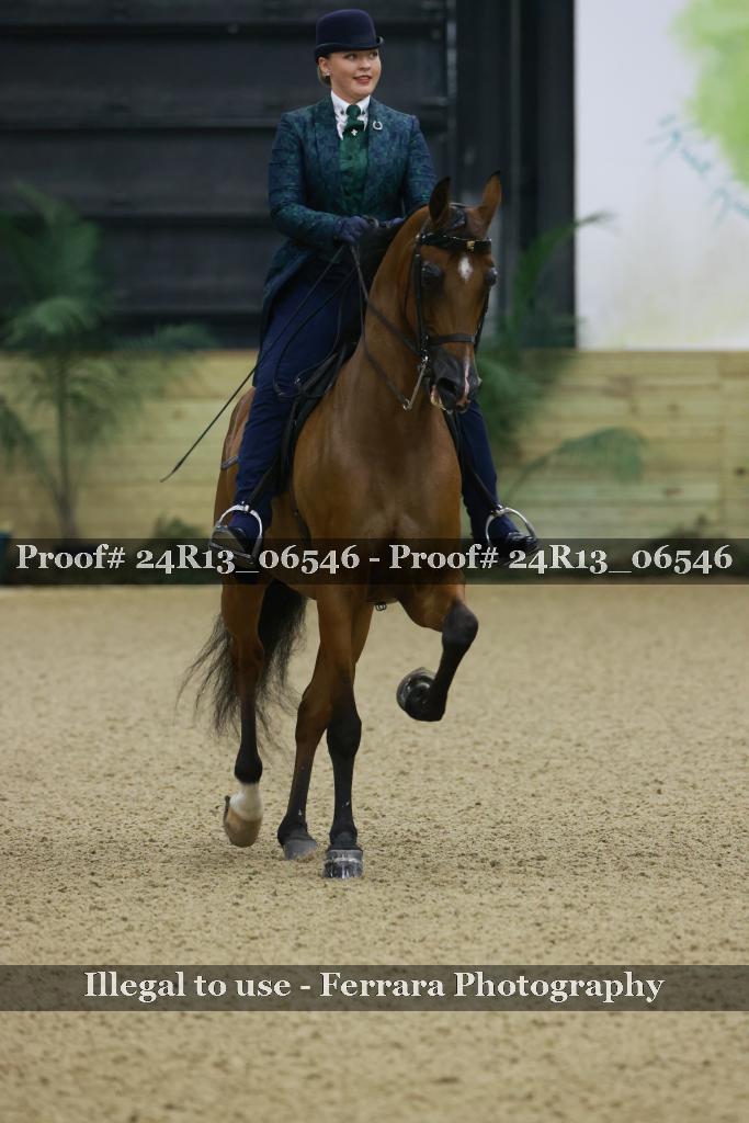 Proof 24R13_06546