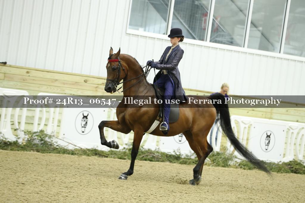 Proof 24R13_06547