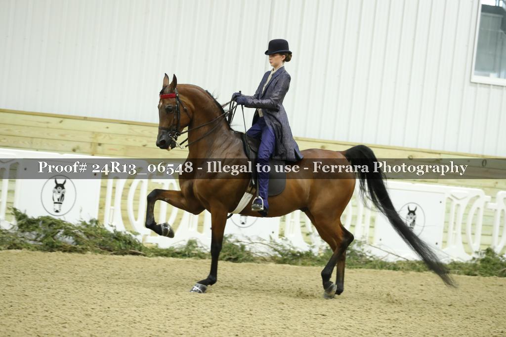 Proof 24R13_06548