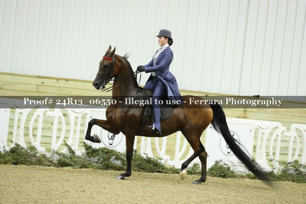 Proof 24R13_06550