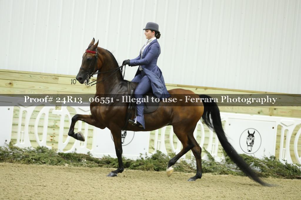 Proof 24R13_06551
