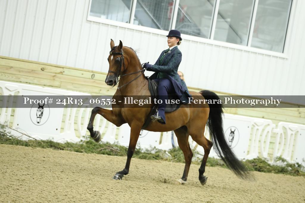 Proof 24R13_06552