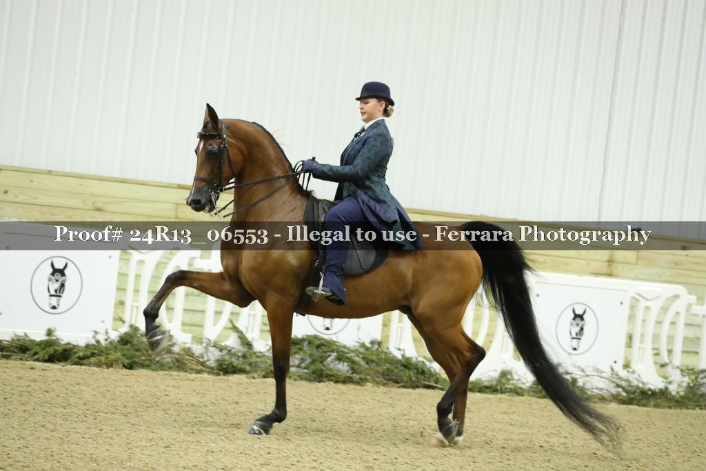 Proof 24R13_06553