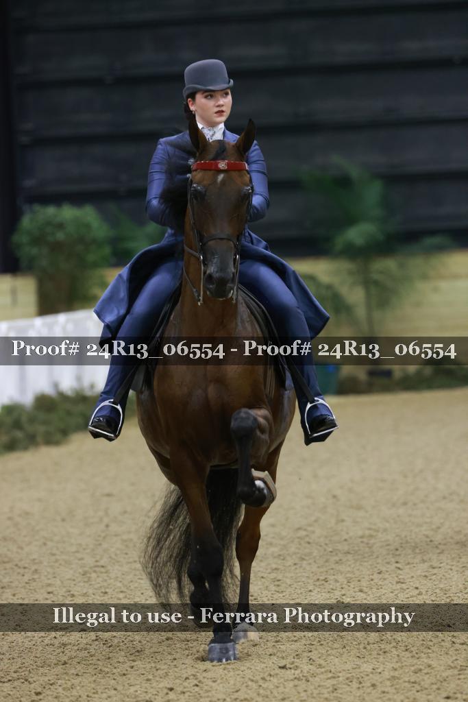 Proof 24R13_06554