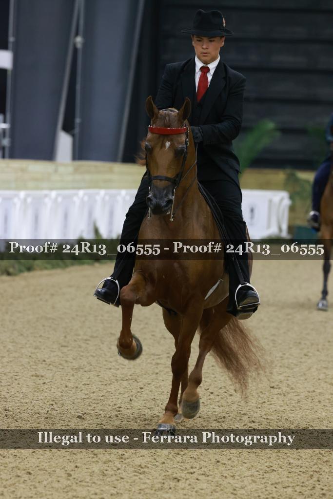 Proof 24R13_06555