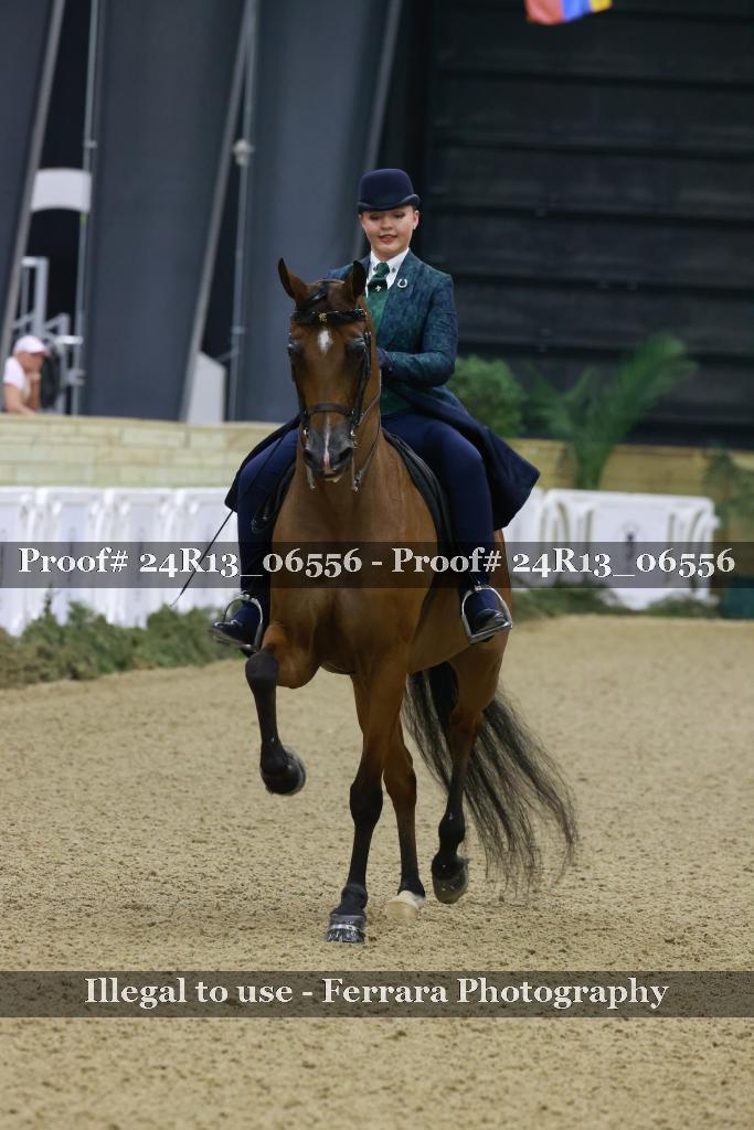 Proof 24R13_06556