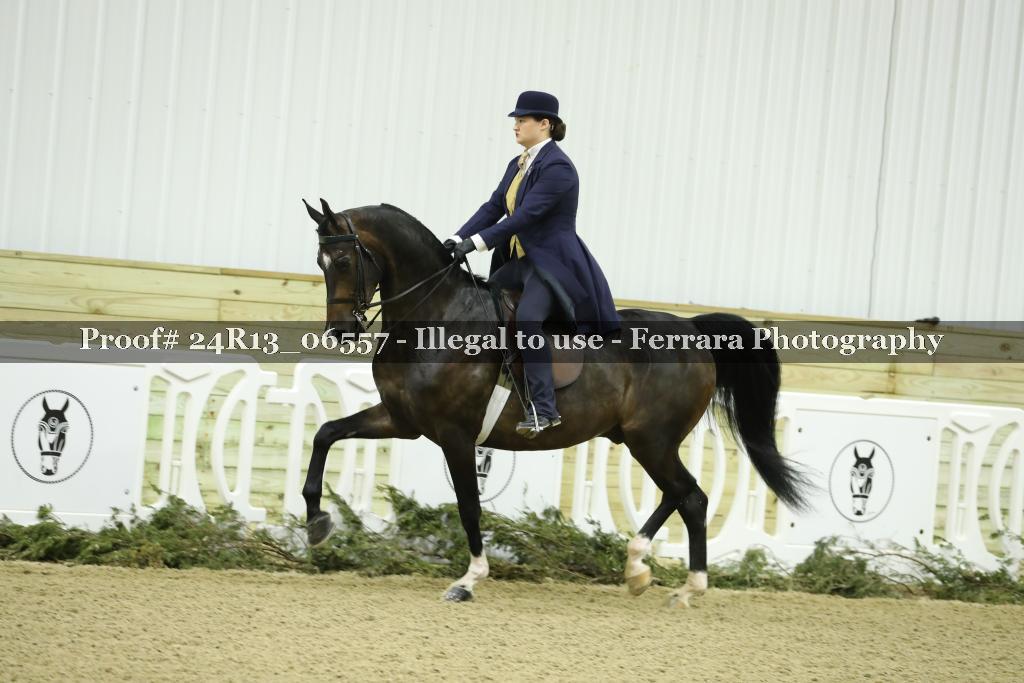 Proof 24R13_06557