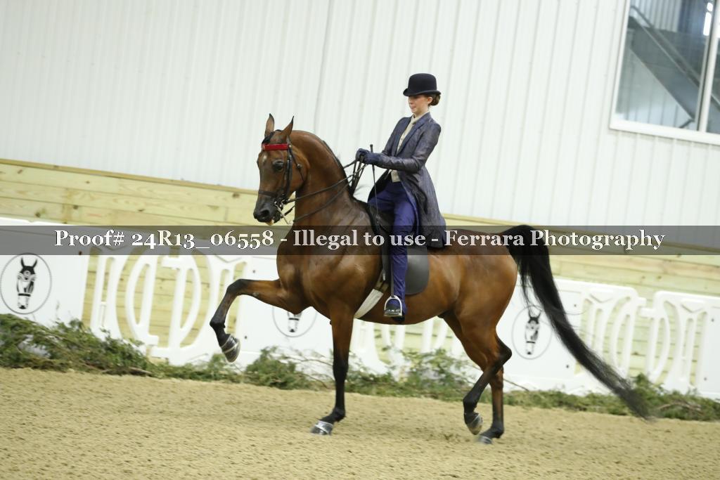 Proof 24R13_06558