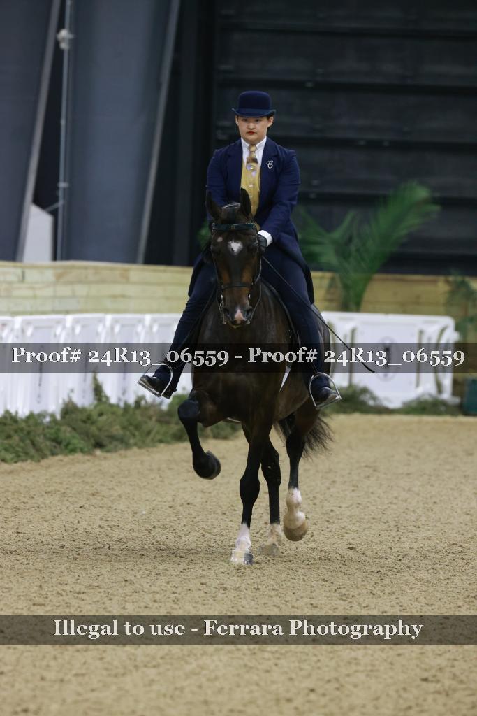 Proof 24R13_06559