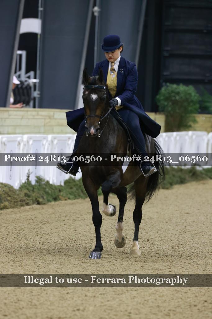 Proof 24R13_06560
