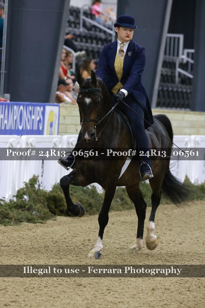 Proof 24R13_06561