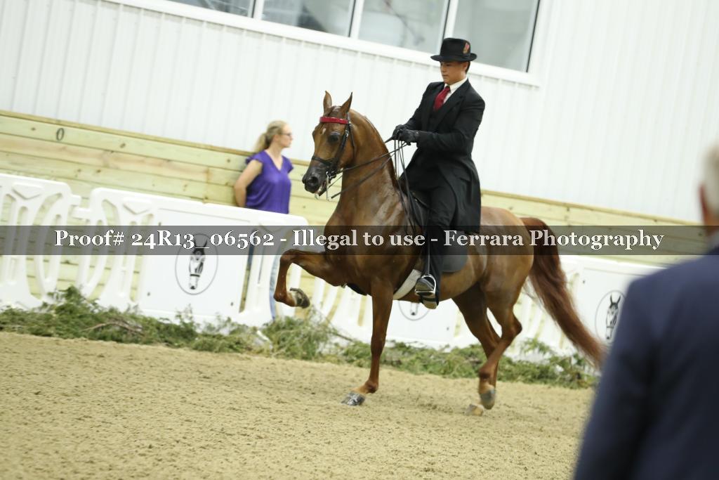 Proof 24R13_06562
