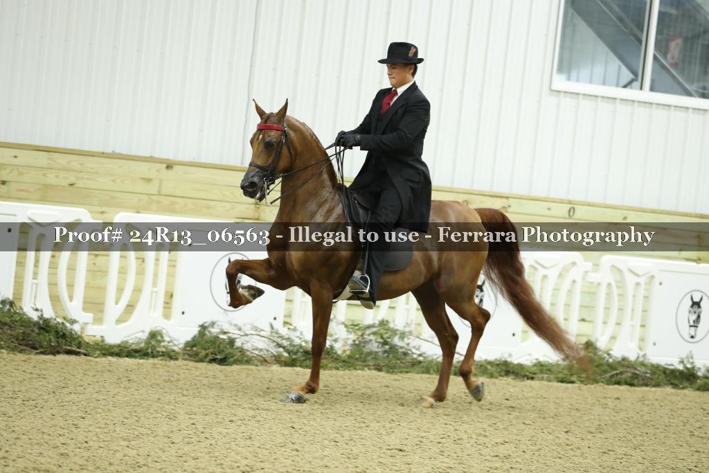 Proof 24R13_06563