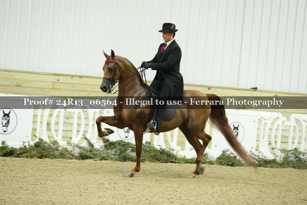 Proof 24R13_06564