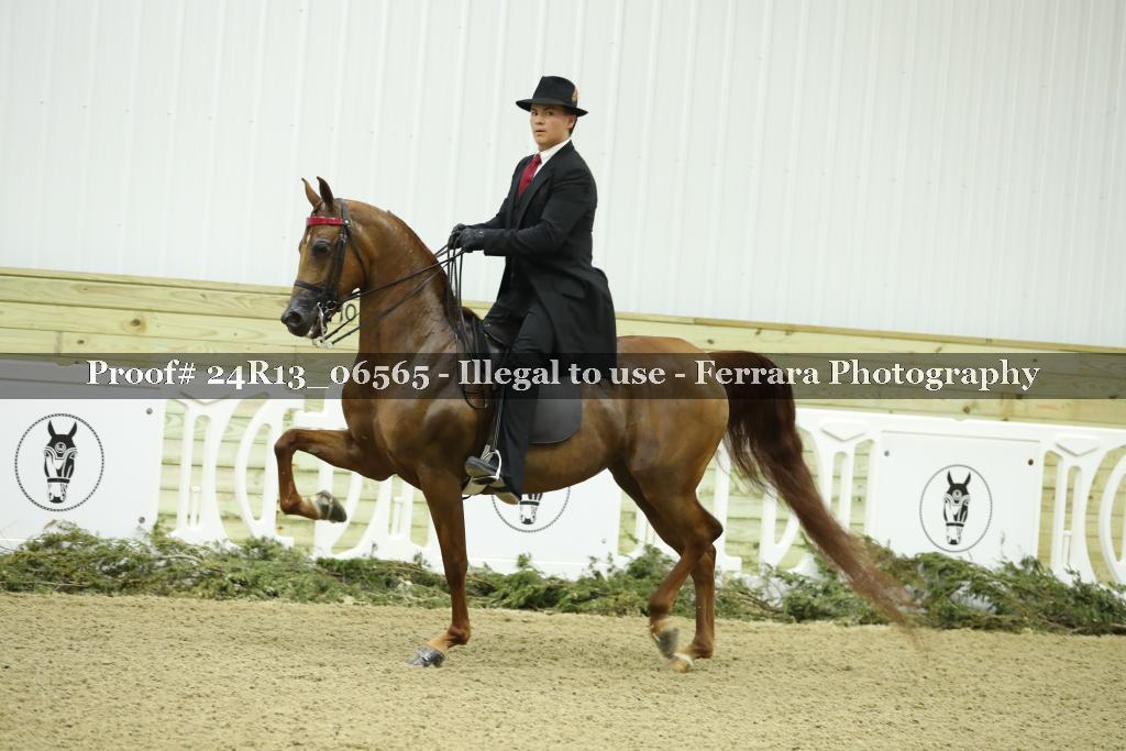 Proof 24R13_06565