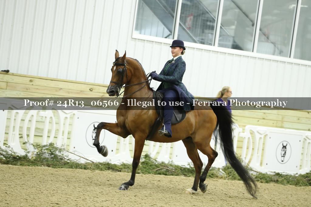 Proof 24R13_06566