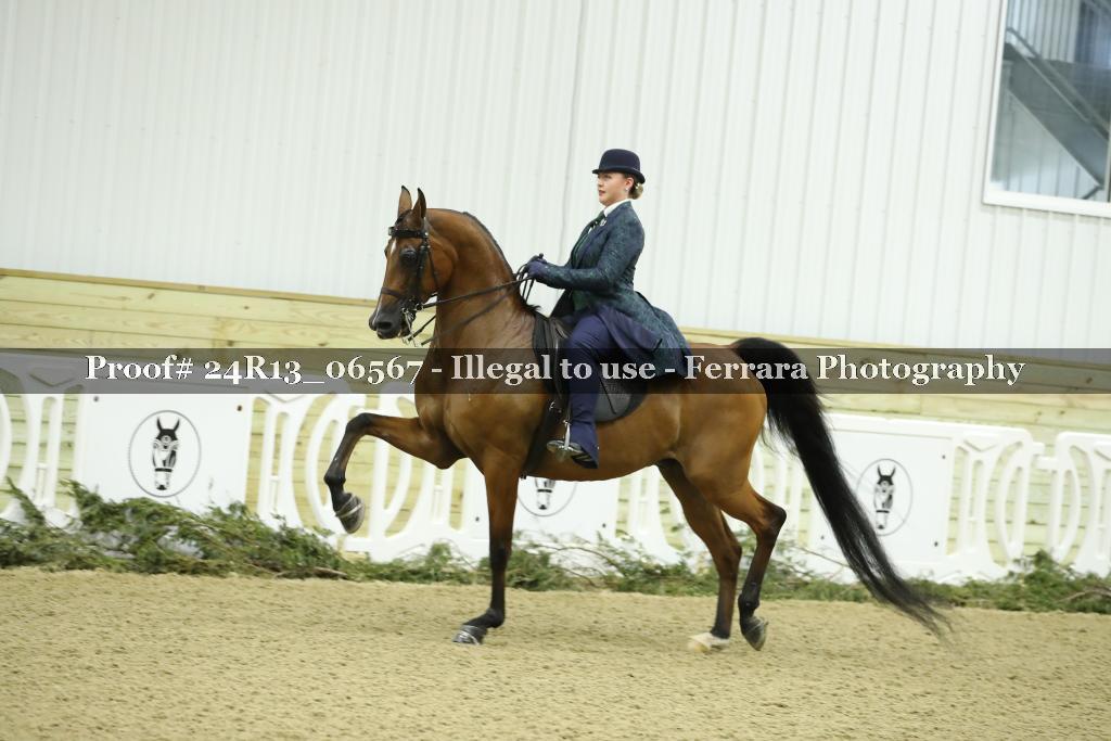 Proof 24R13_06567