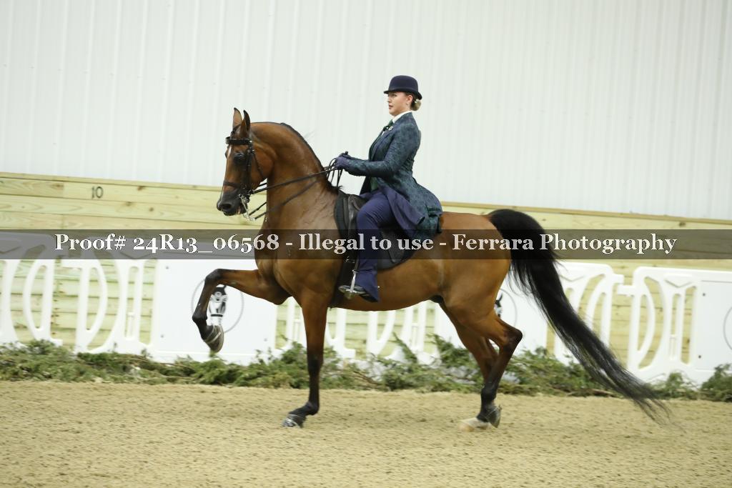 Proof 24R13_06568