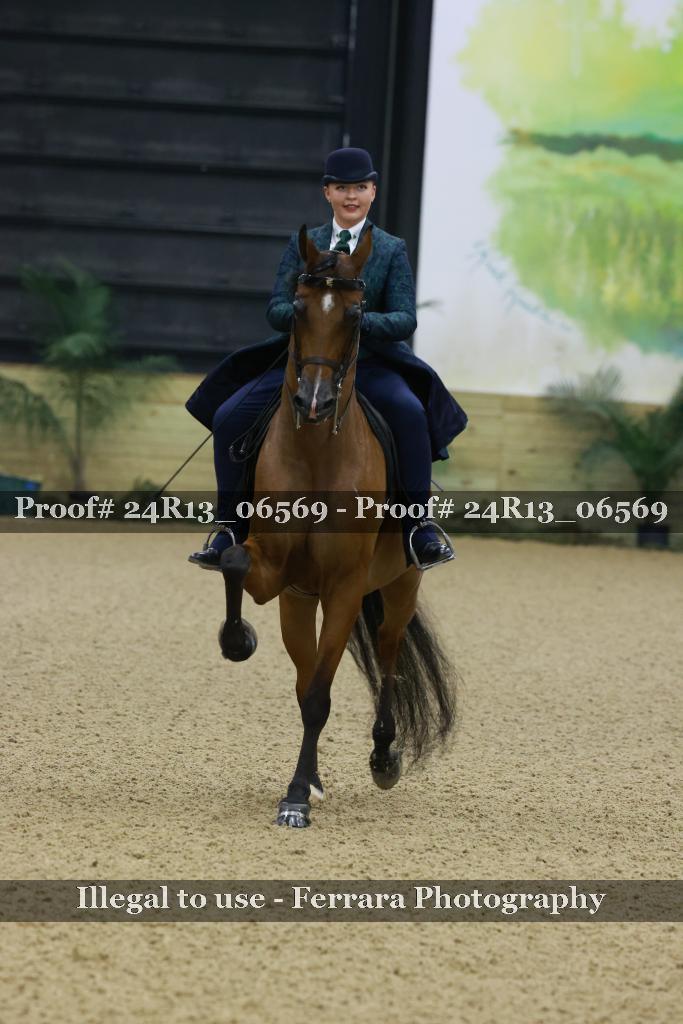 Proof 24R13_06569
