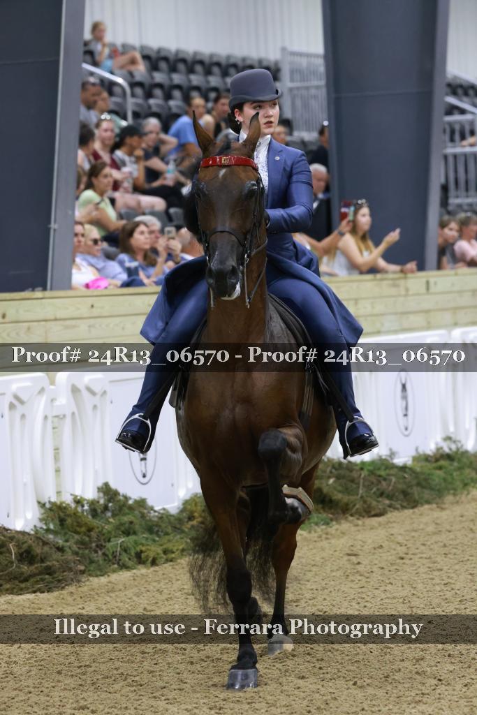 Proof 24R13_06570