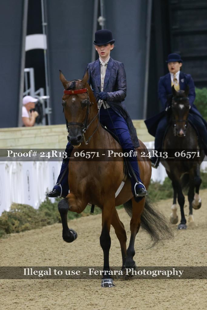 Proof 24R13_06571