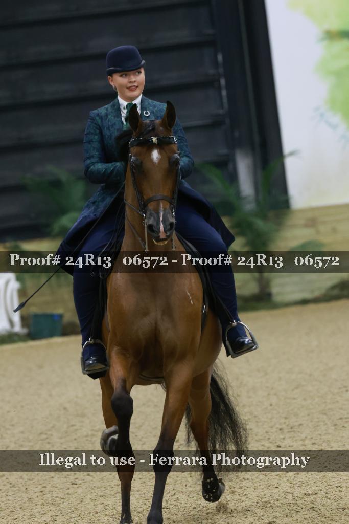 Proof 24R13_06572