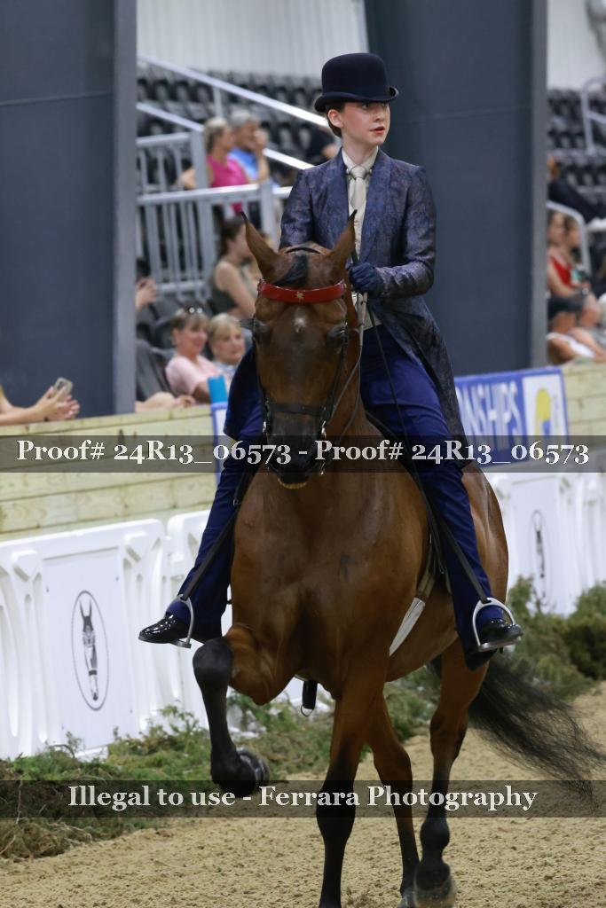 Proof 24R13_06573