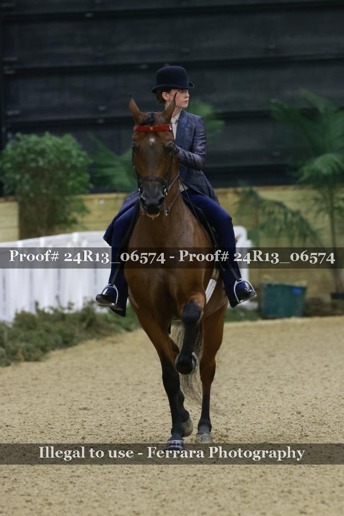 Proof 24R13_06574