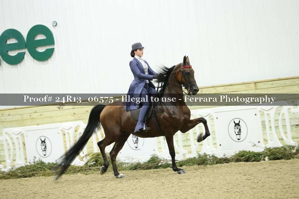 Proof 24R13_06575