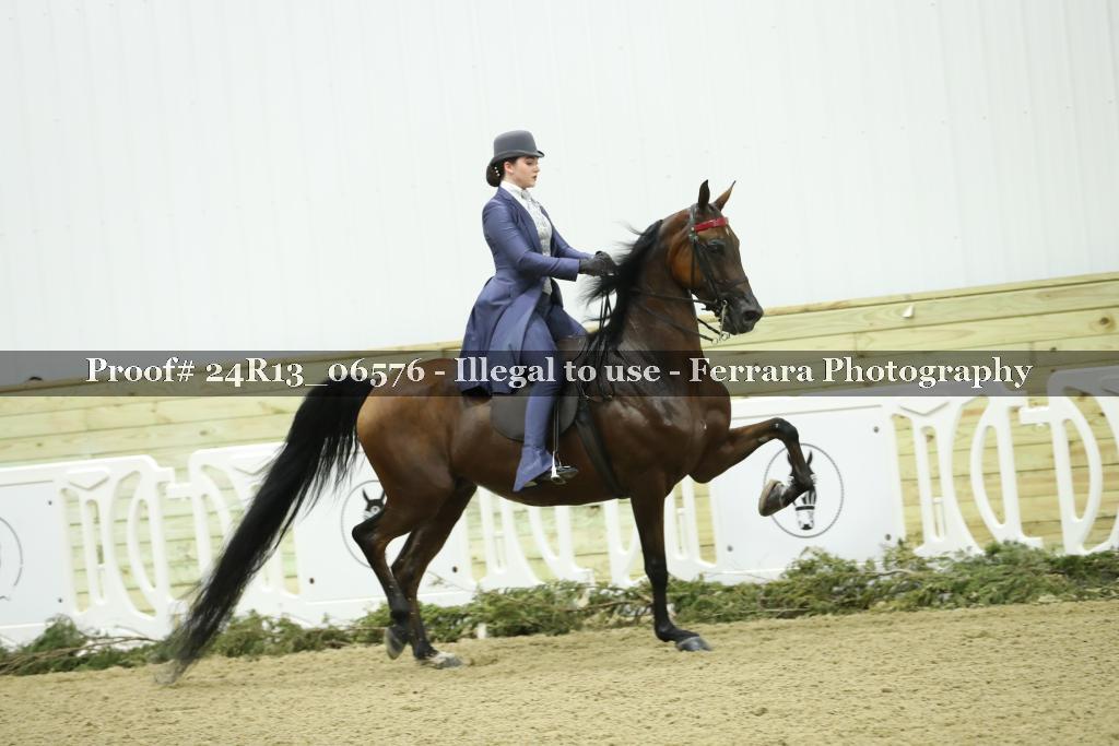 Proof 24R13_06576