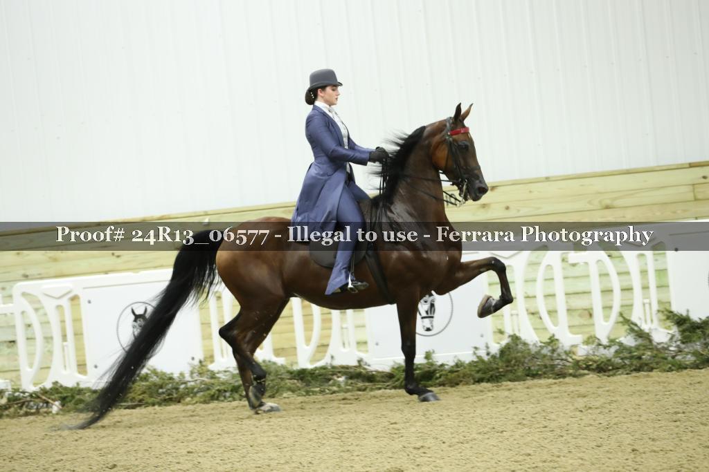 Proof 24R13_06577