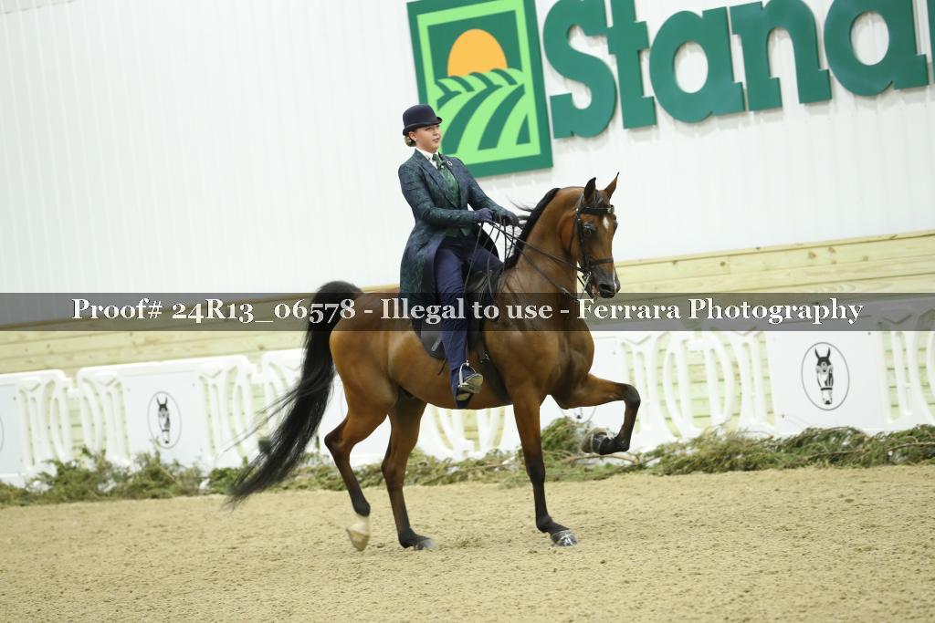 Proof 24R13_06578