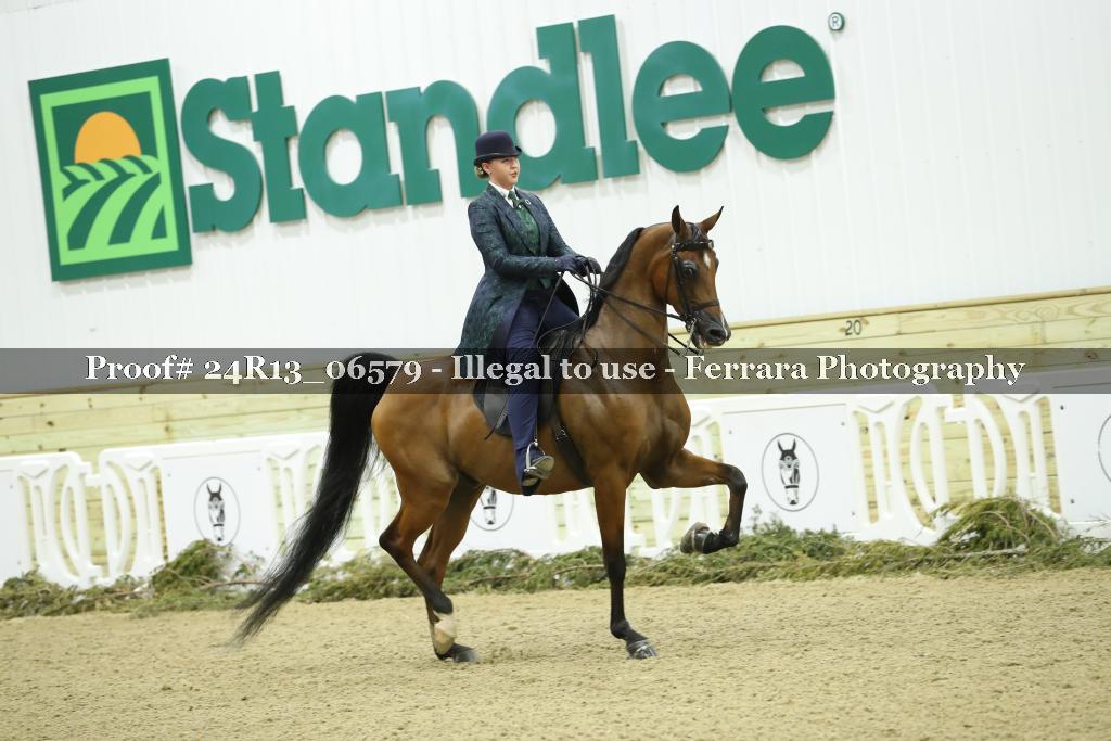 Proof 24R13_06579