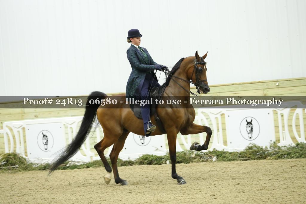 Proof 24R13_06580