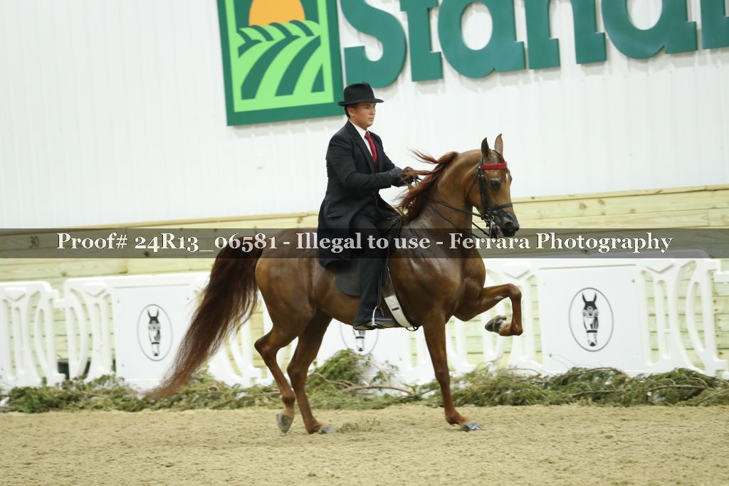 Proof 24R13_06581