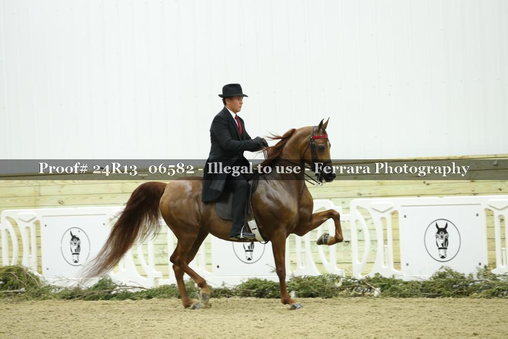 Proof 24R13_06582