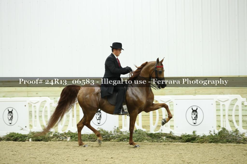 Proof 24R13_06583