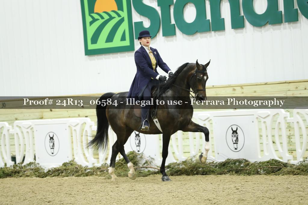 Proof 24R13_06584