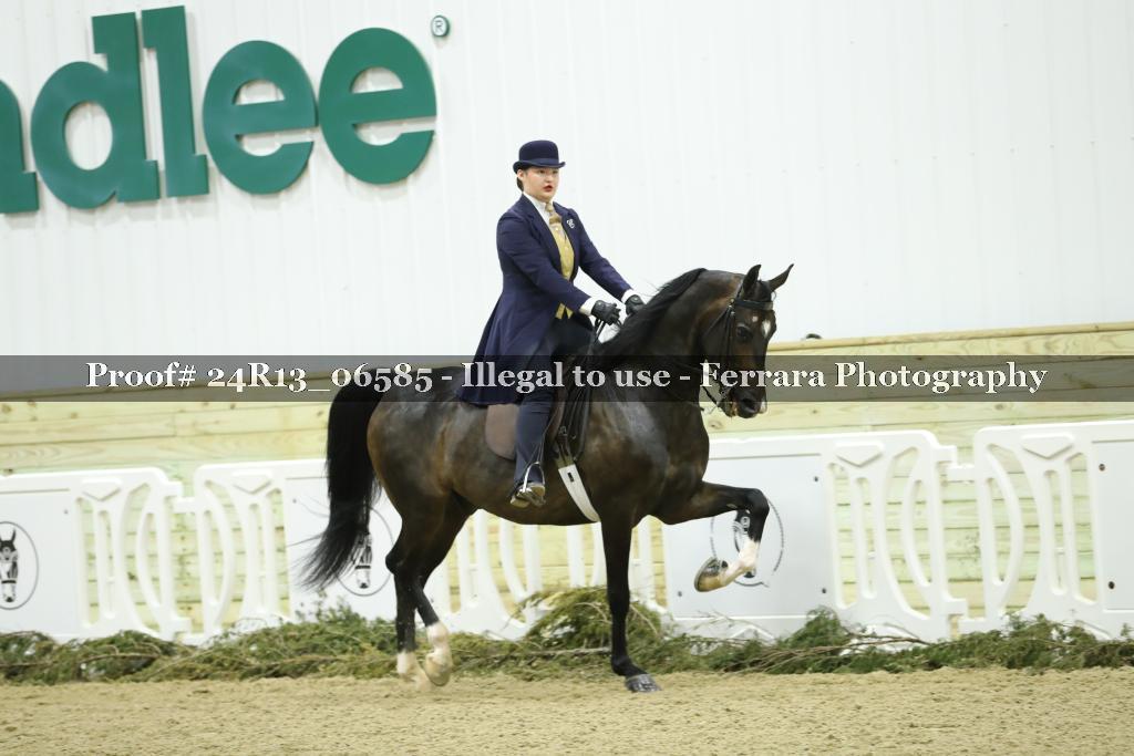Proof 24R13_06585