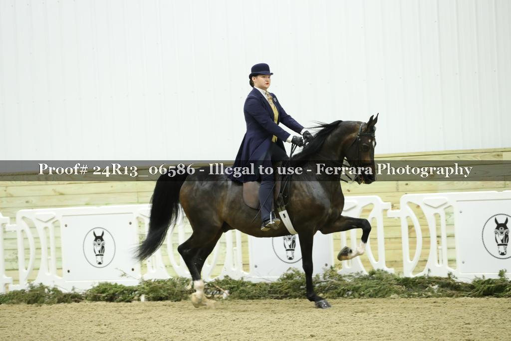 Proof 24R13_06586