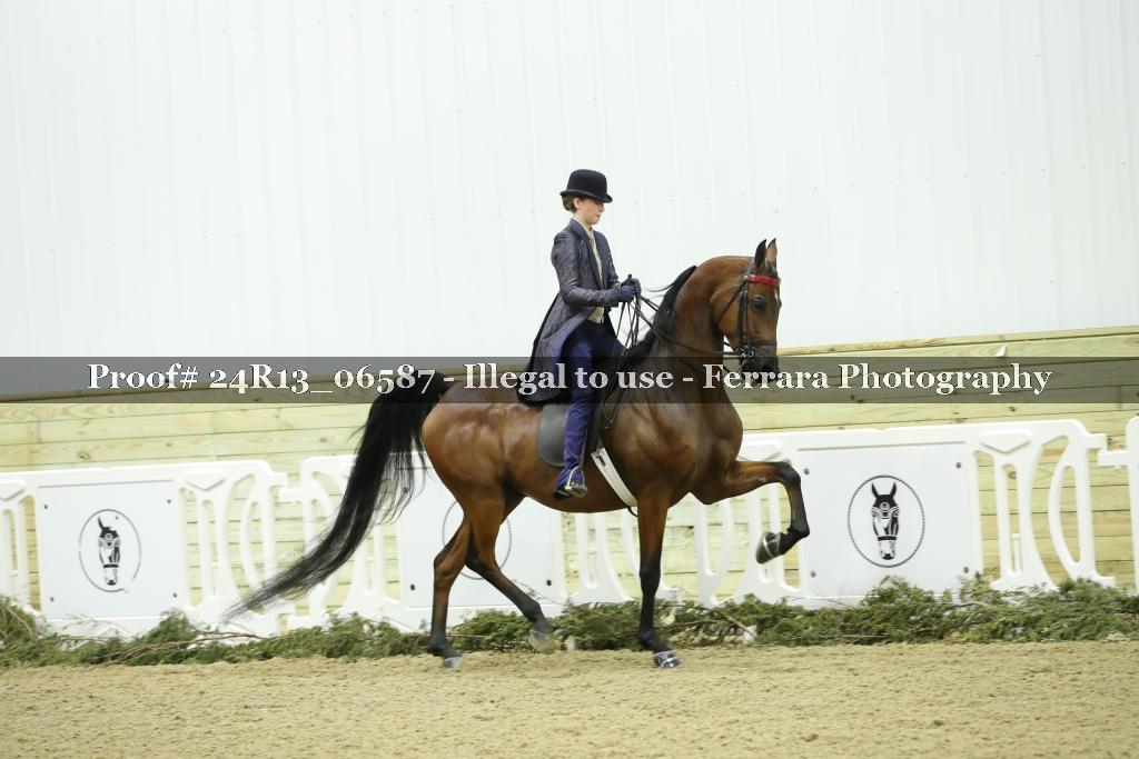 Proof 24R13_06587