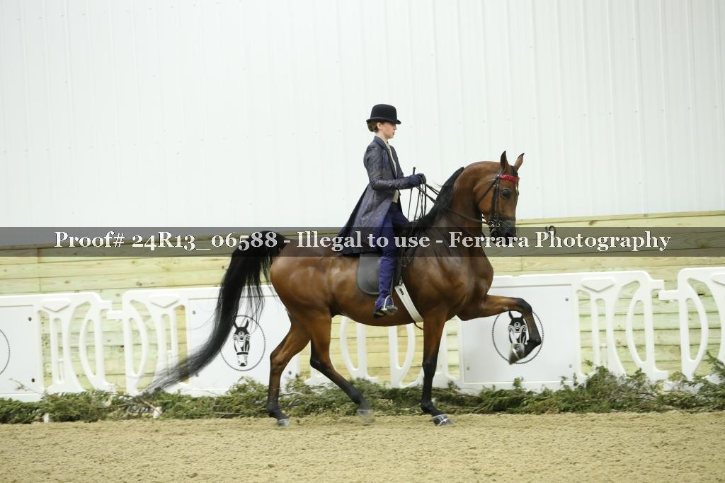 Proof 24R13_06588