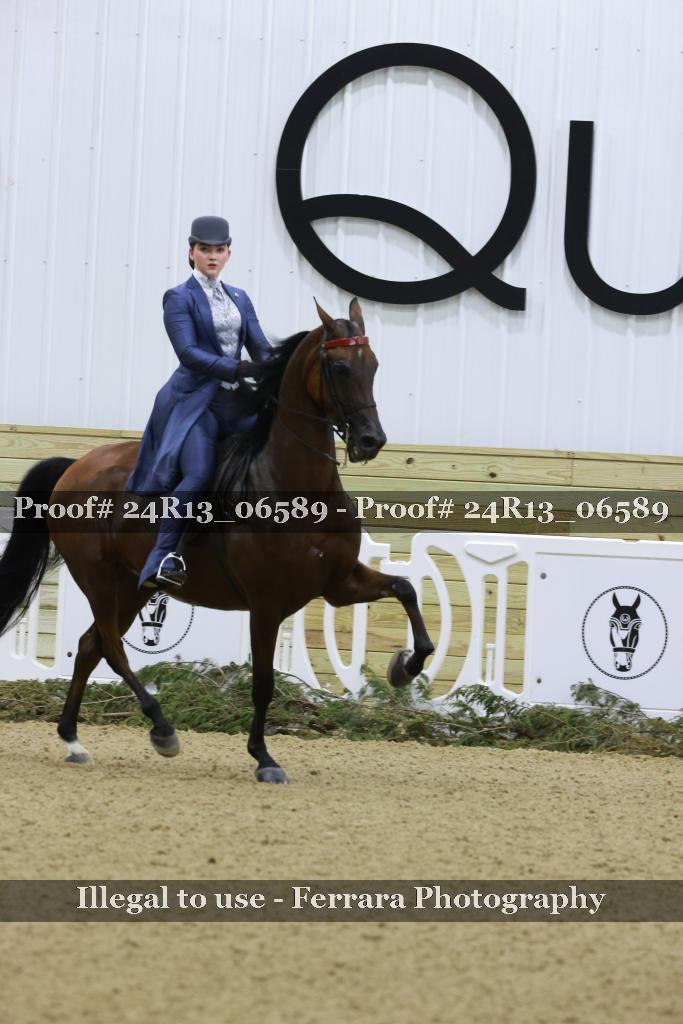 Proof 24R13_06589