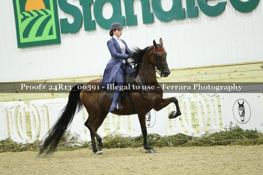 Proof 24R13_06591
