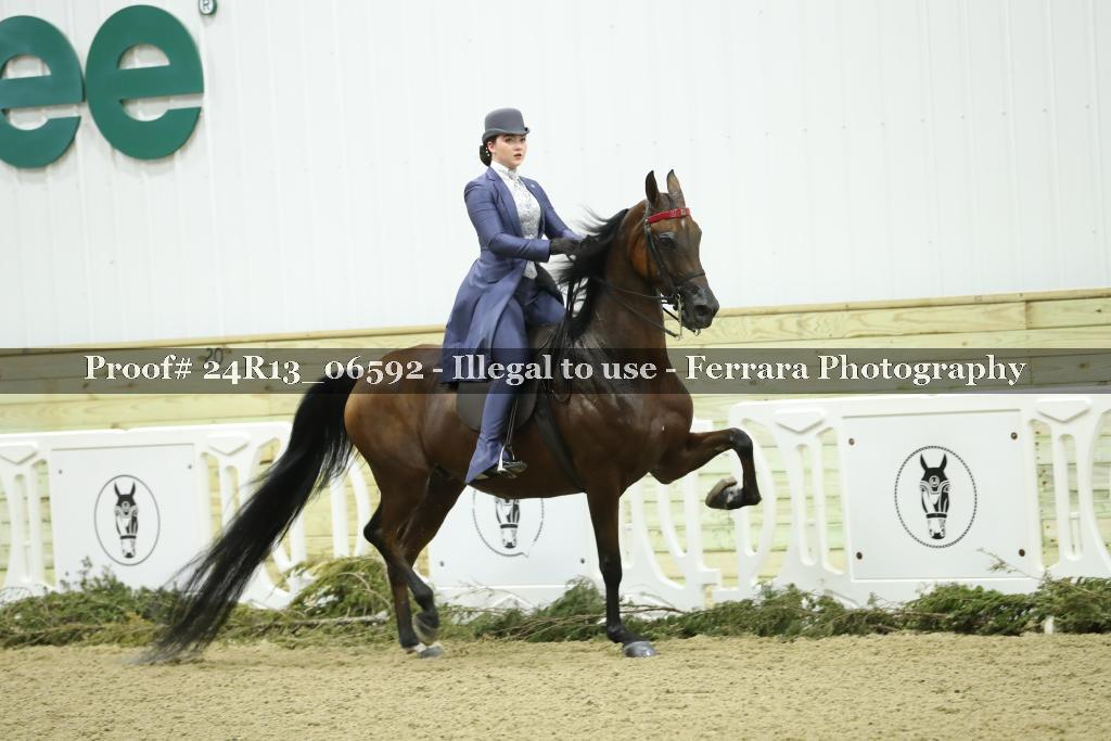 Proof 24R13_06592